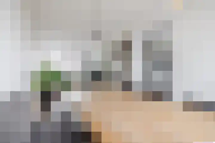 Randweg 68 Meppel thumbnail 9