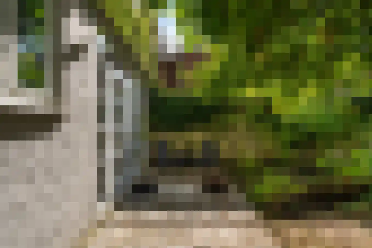 Randweg 77 Rotterdam thumbnail 18