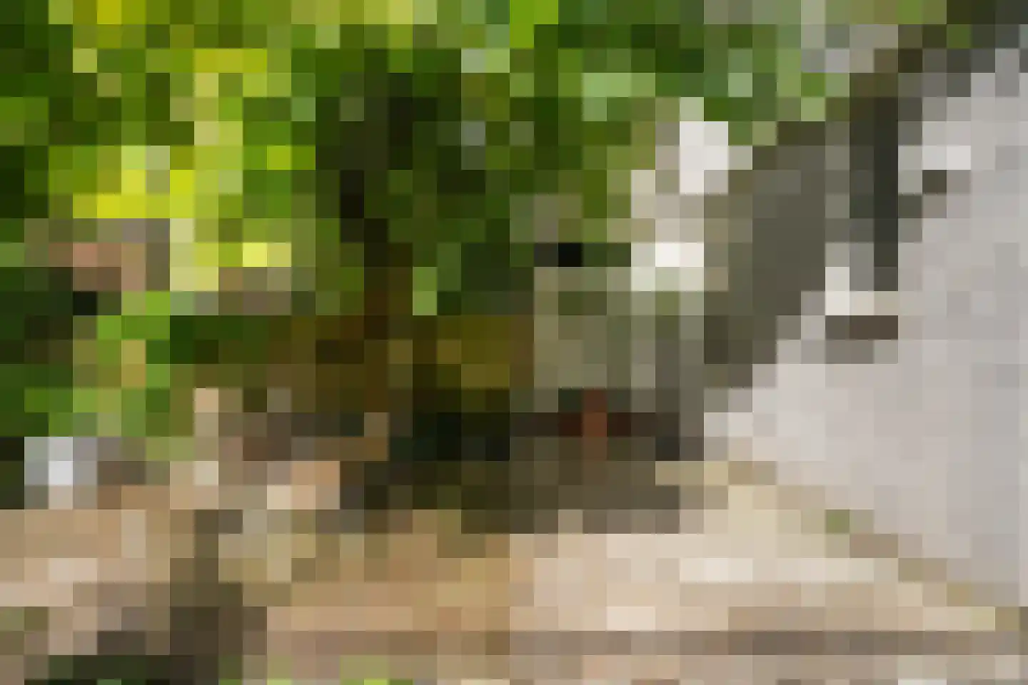 Randweg 77 Rotterdam thumbnail 19