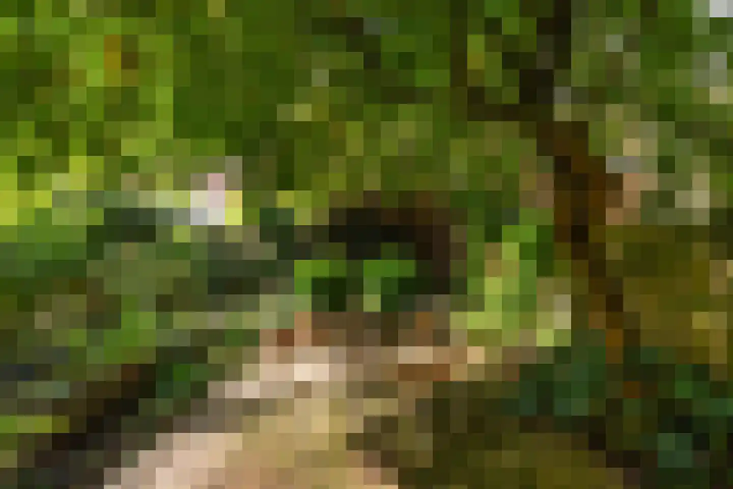 Randweg 77 Rotterdam thumbnail 21
