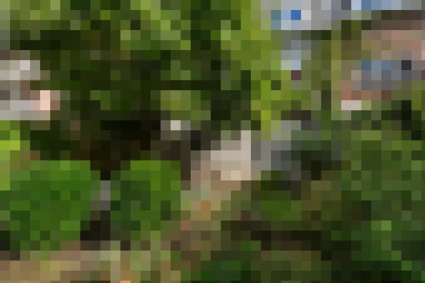 Randweg 77 Rotterdam thumbnail 22