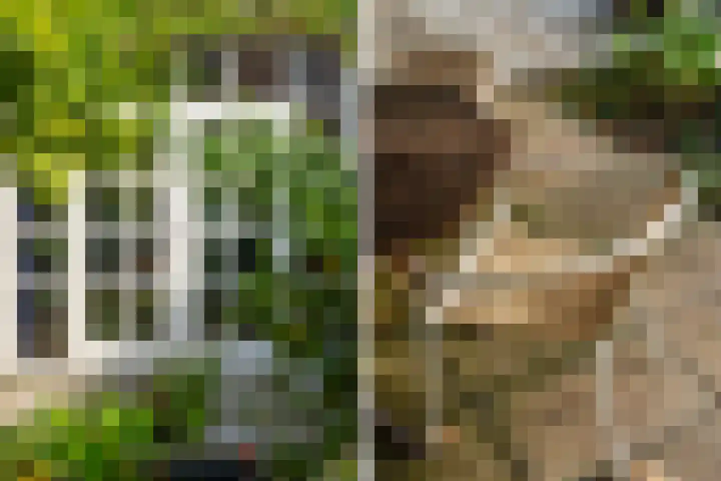 Randweg 77 Rotterdam thumbnail 24
