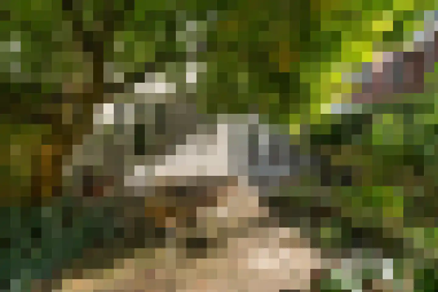 Randweg 77 Rotterdam thumbnail 4