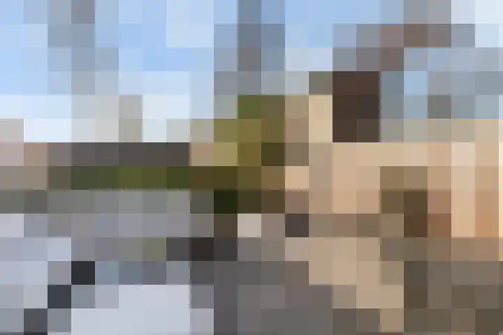 Randweg 79 Alblasserdam thumbnail 30