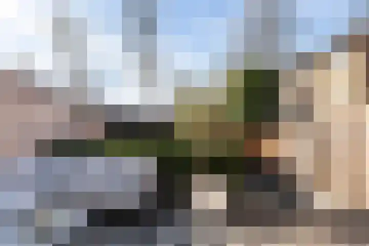 Randweg 79 Alblasserdam thumbnail 33