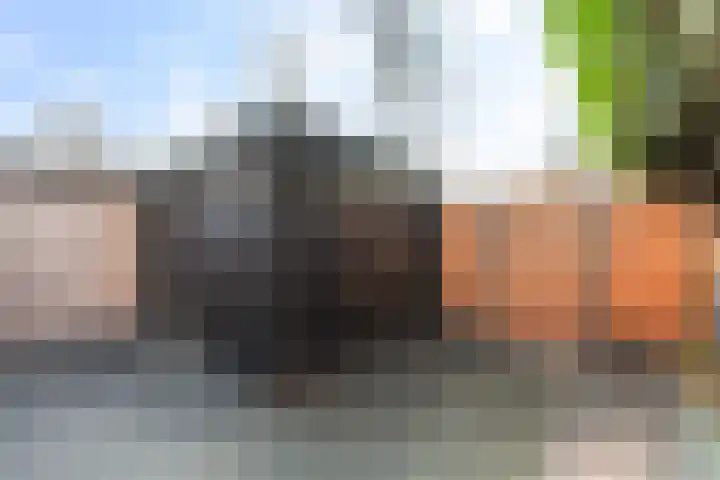 Randweg 79 Alblasserdam thumbnail 35