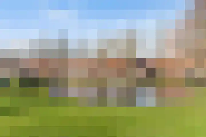 Randweg 79 Alblasserdam thumbnail 38