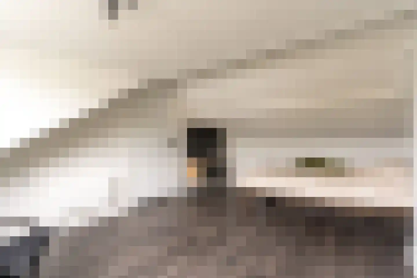 Randweg 88 Harderwijk thumbnail 33
