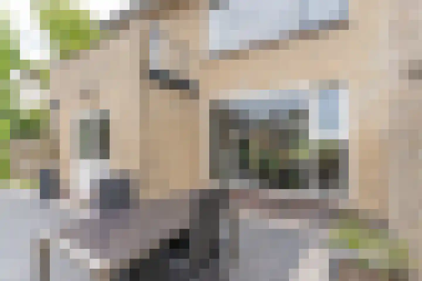 Randweg 88 Harderwijk thumbnail 38