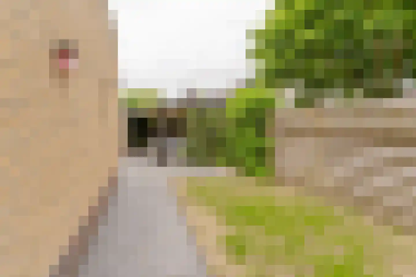 Randweg 88 Harderwijk thumbnail 39