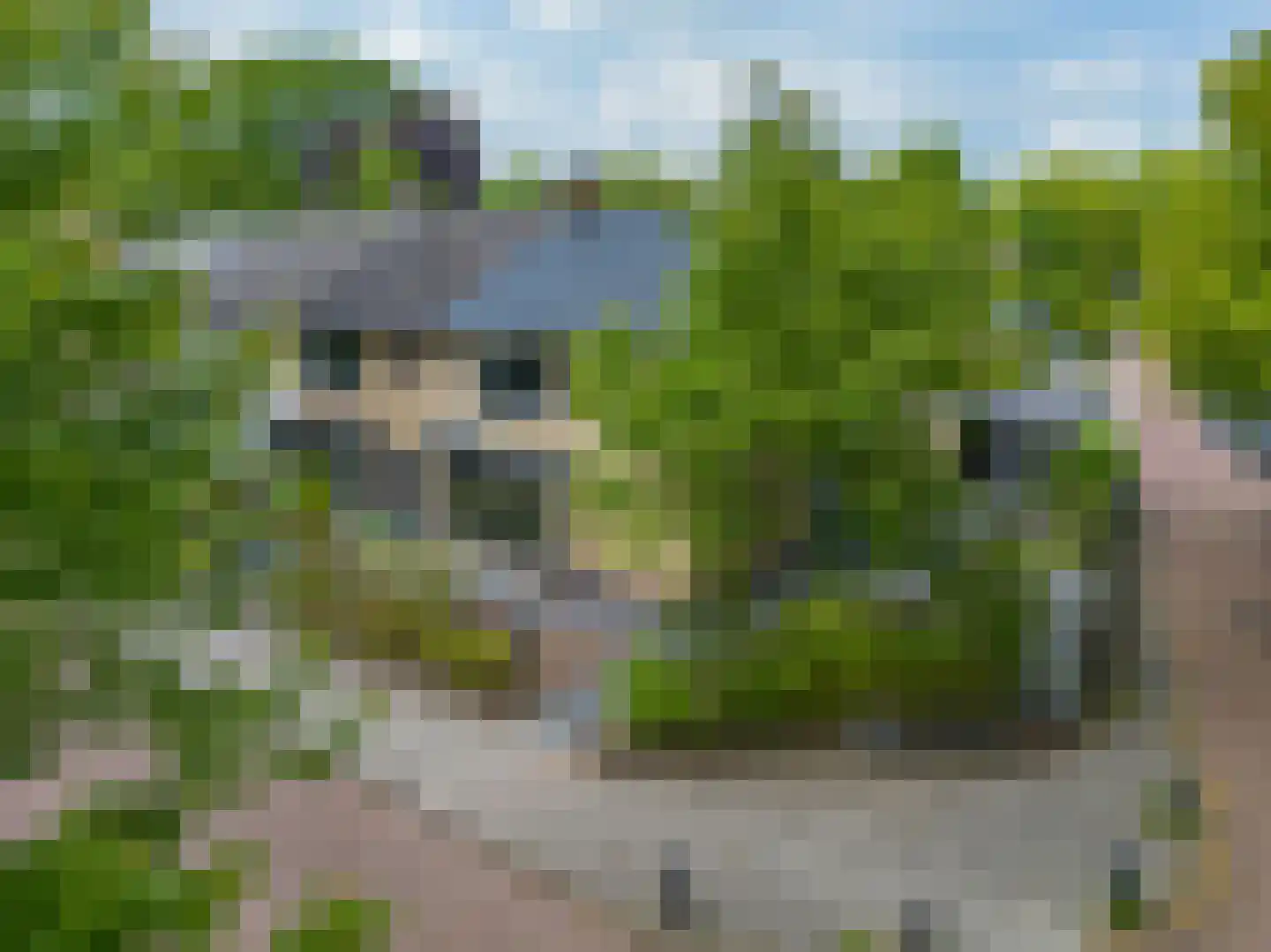 Randweg 88 Harderwijk thumbnail 6