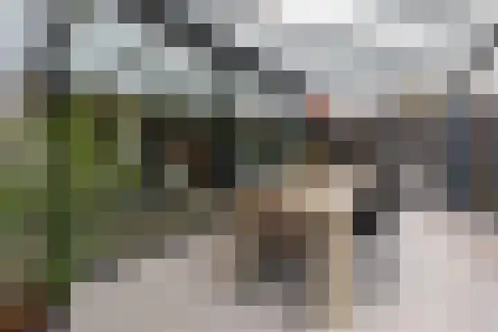 Randweg 9 Hoensbroek thumbnail 10