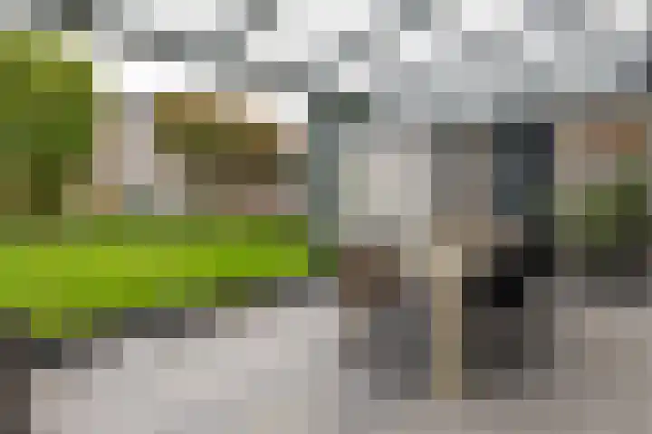 Randweg 9 Hoensbroek thumbnail 11