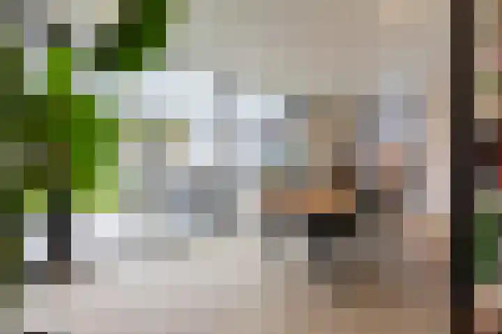 Randweg 9 Hoensbroek thumbnail 8