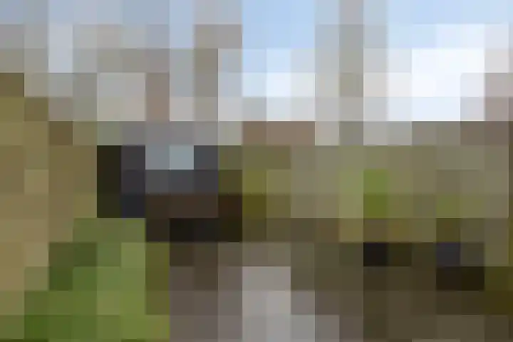 Randweg 99 Sint Anthonis thumbnail 17