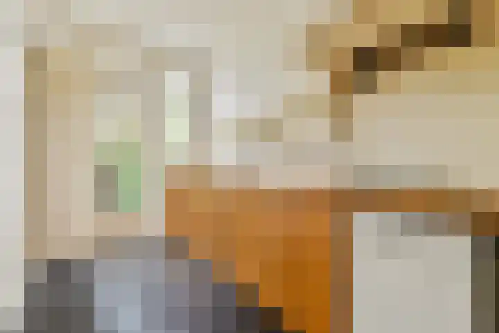 Randwijcklaan 16 Amstelveen thumbnail 11