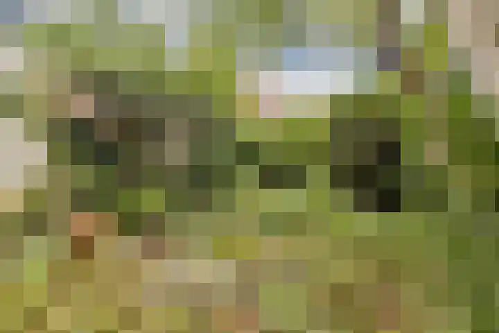 Randwijcklaan 16 Amstelveen thumbnail 14