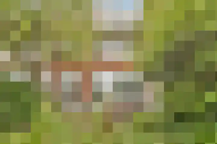 Randwijcklaan 16 Amstelveen thumbnail 16