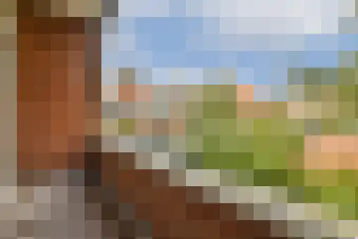 Randwijcklaan 16 Amstelveen thumbnail 18