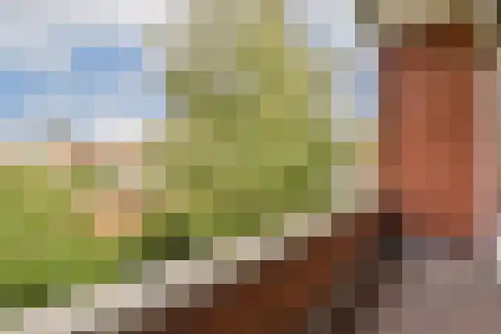 Randwijcklaan 16 Amstelveen thumbnail 19