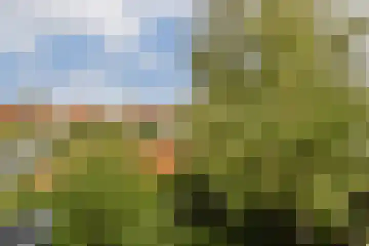 Randwijcklaan 16 Amstelveen thumbnail 20