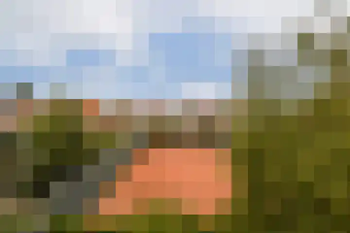 Randwijcklaan 16 Amstelveen thumbnail 34