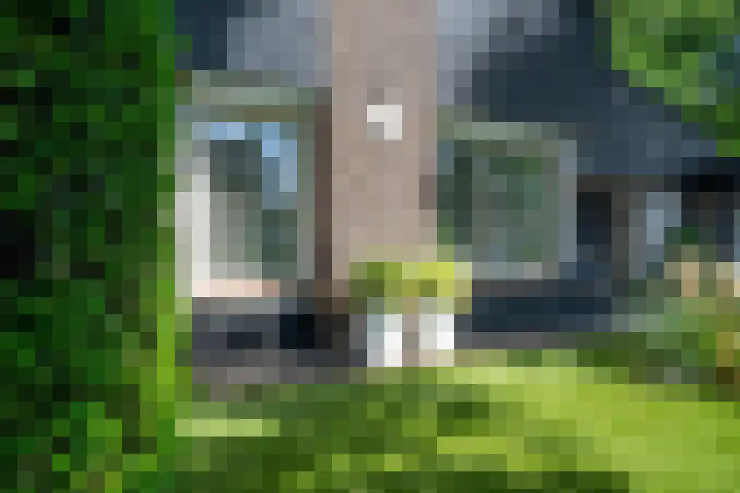 Randwijk 1 Bakel foto 3