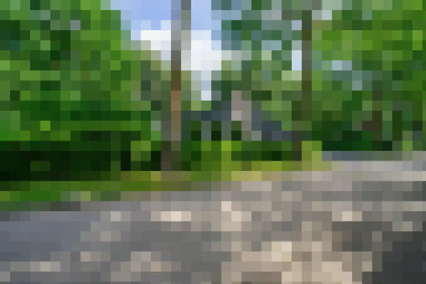 Randwijk 1 Bakel thumbnail 69