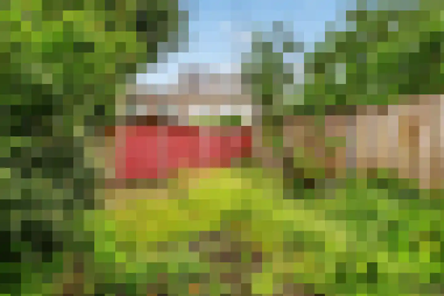 Randwijkhof 80 Amsterdam thumbnail 22
