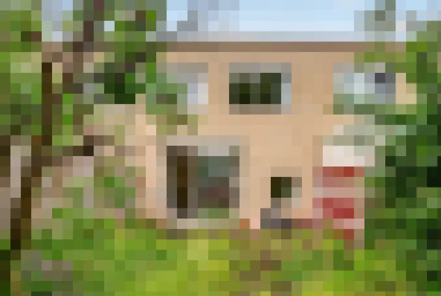 Randwijkhof 80 Amsterdam thumbnail 23