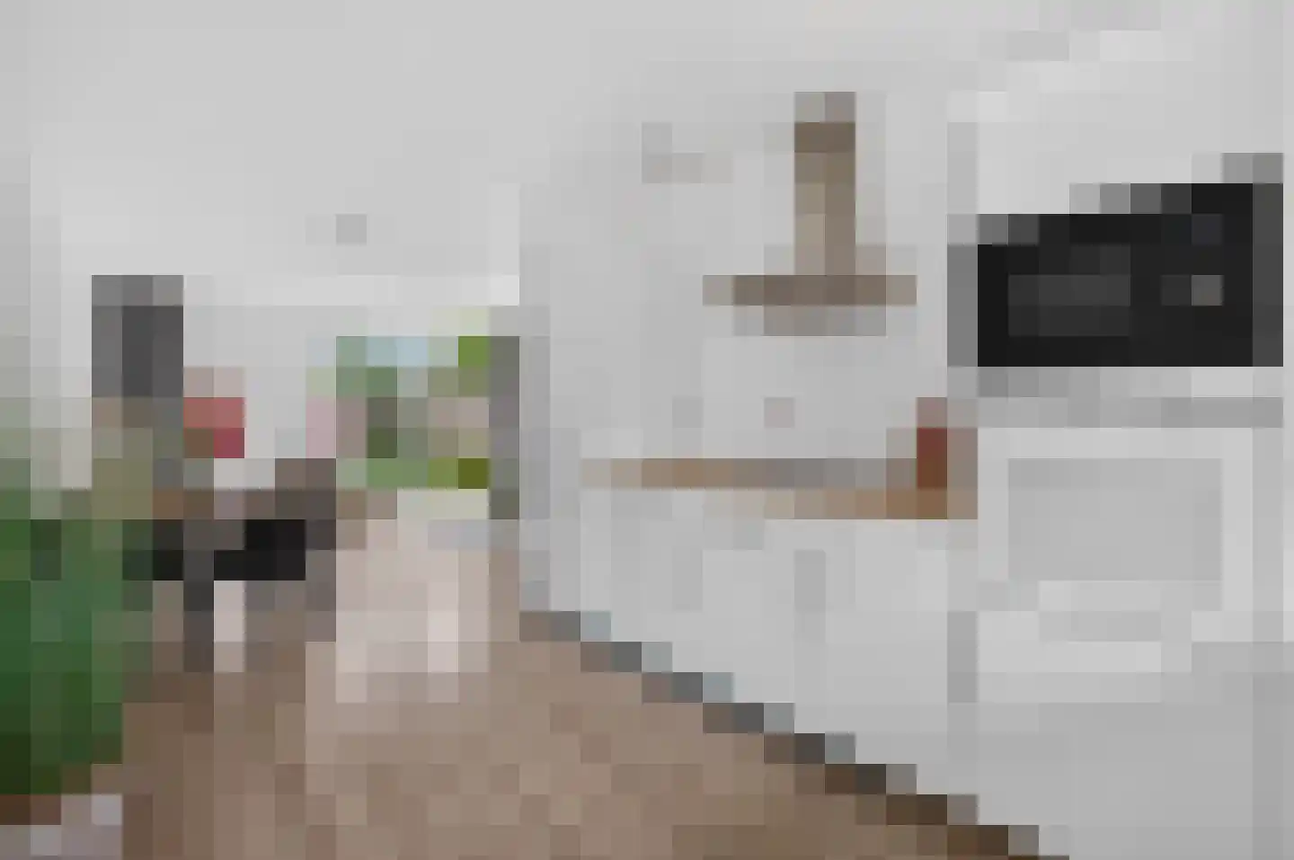 Randwijkhof 80 Amsterdam thumbnail 8