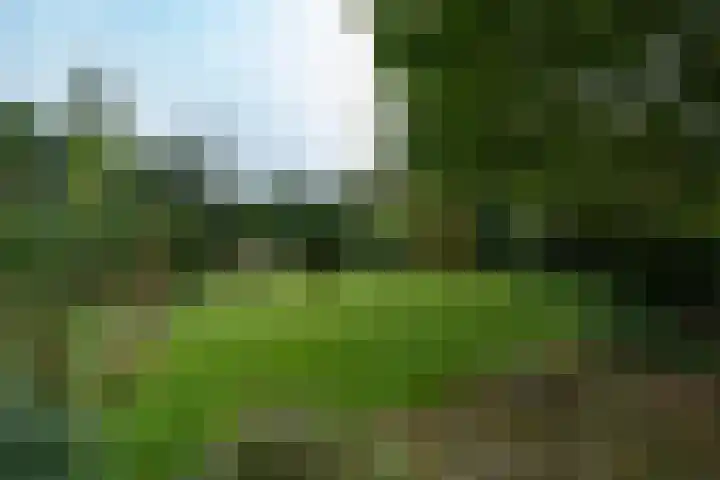 Randwijksingel 10 Malden thumbnail 37