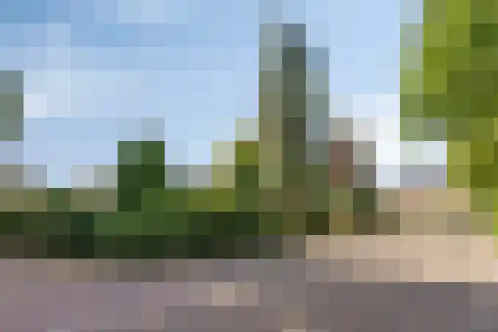 Randwijksingel 34 Malden thumbnail 36