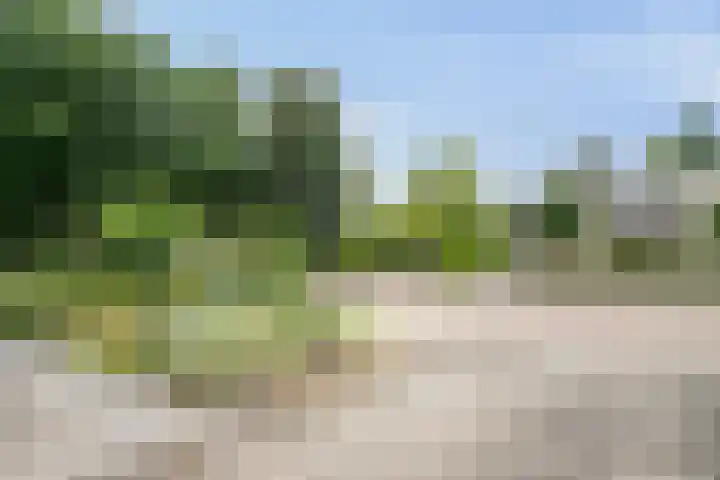 Randwijksingel 99 Malden thumbnail 32