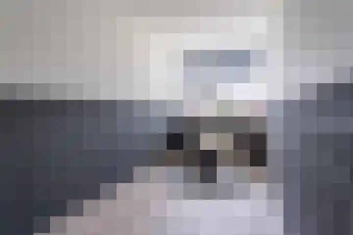 Randwijkstraat 12 Tilburg thumbnail 18