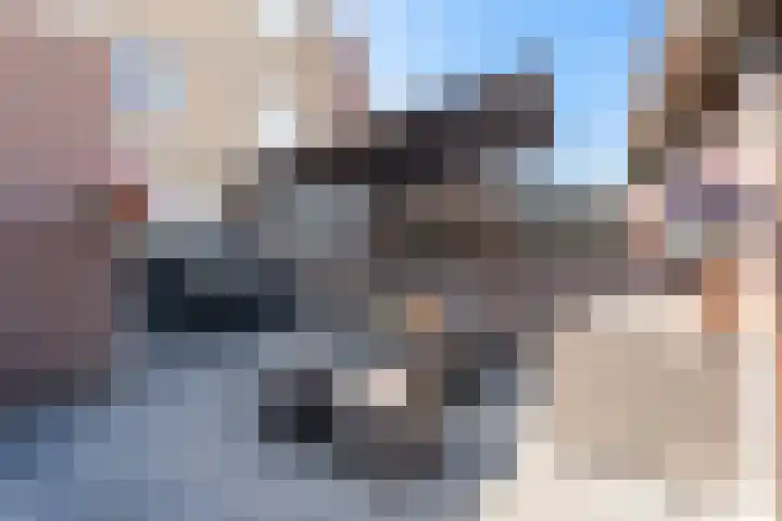 Randwijkstraat 12 Tilburg thumbnail 31