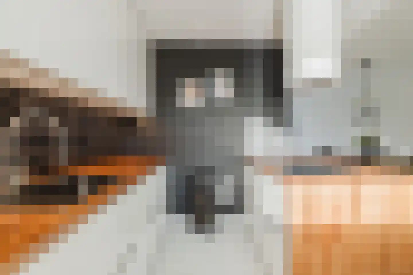 Randwijkstraat 25 Tilburg thumbnail 13