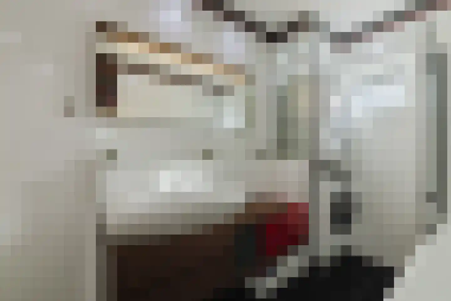 Randwijkstraat 25 Tilburg thumbnail 27