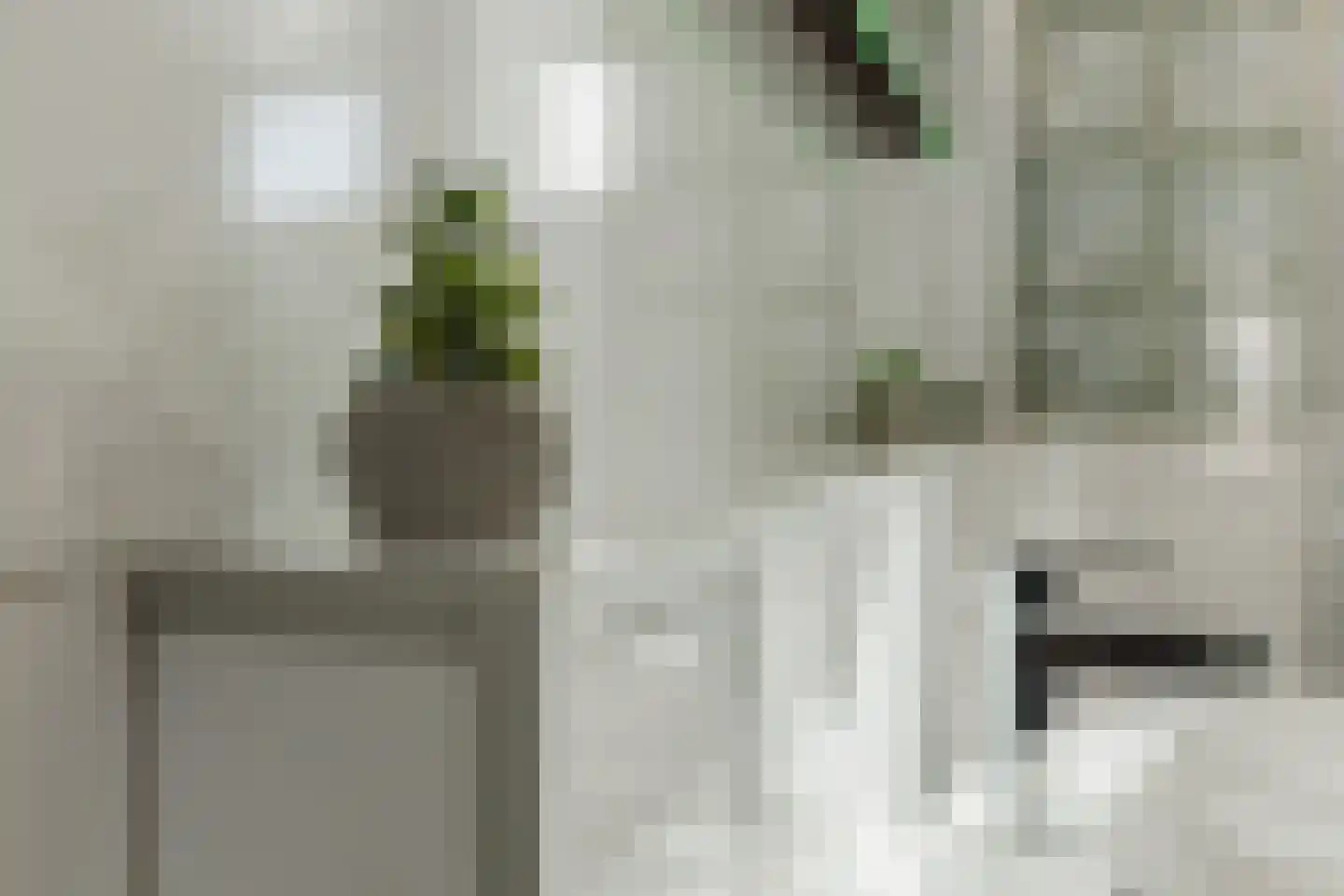 Randwijkstraat 25 Tilburg thumbnail 28