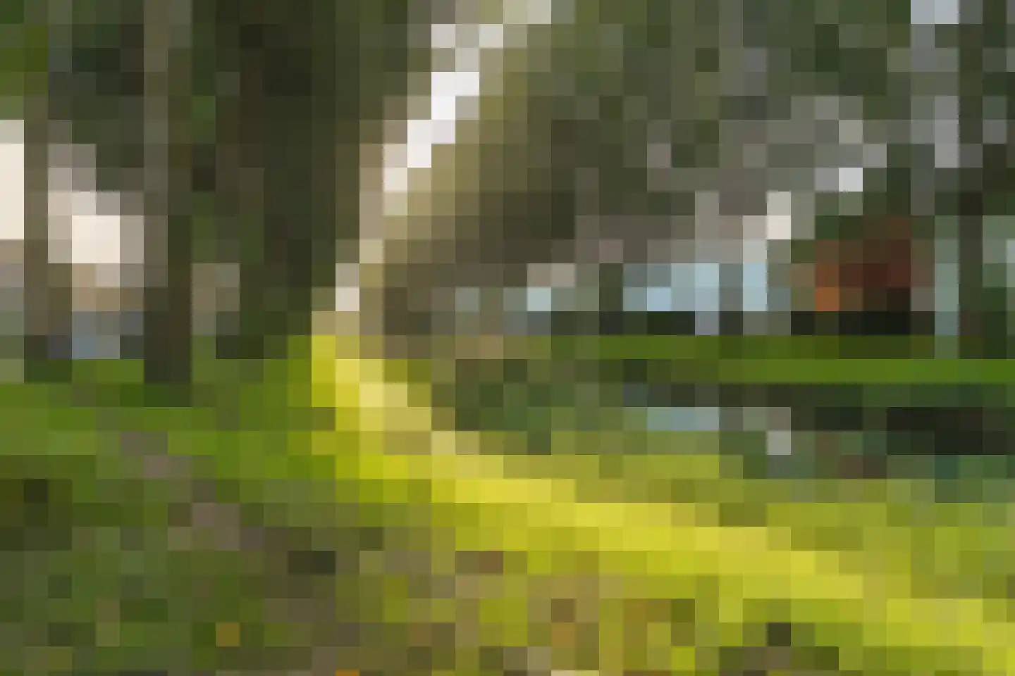 Randwijkstraat 25 Tilburg thumbnail 51
