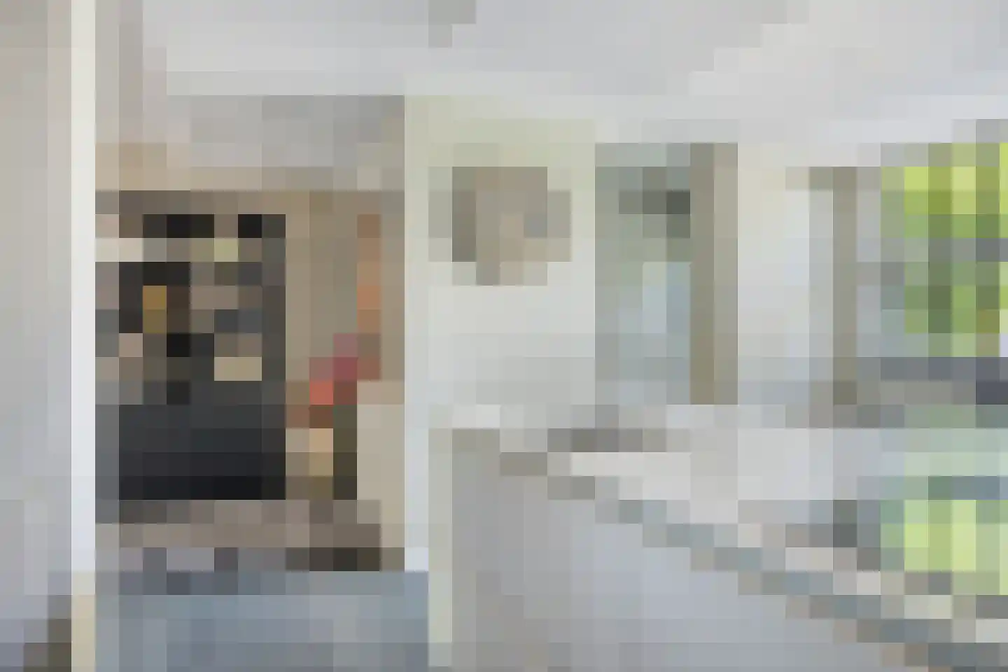 Randwijkstraat 55 Tilburg thumbnail 13