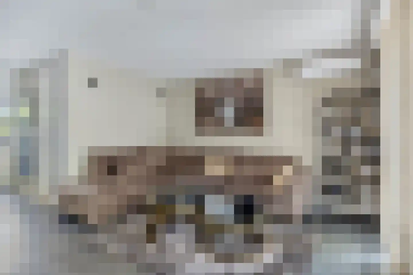 Randwijkstraat 55 Tilburg thumbnail 17