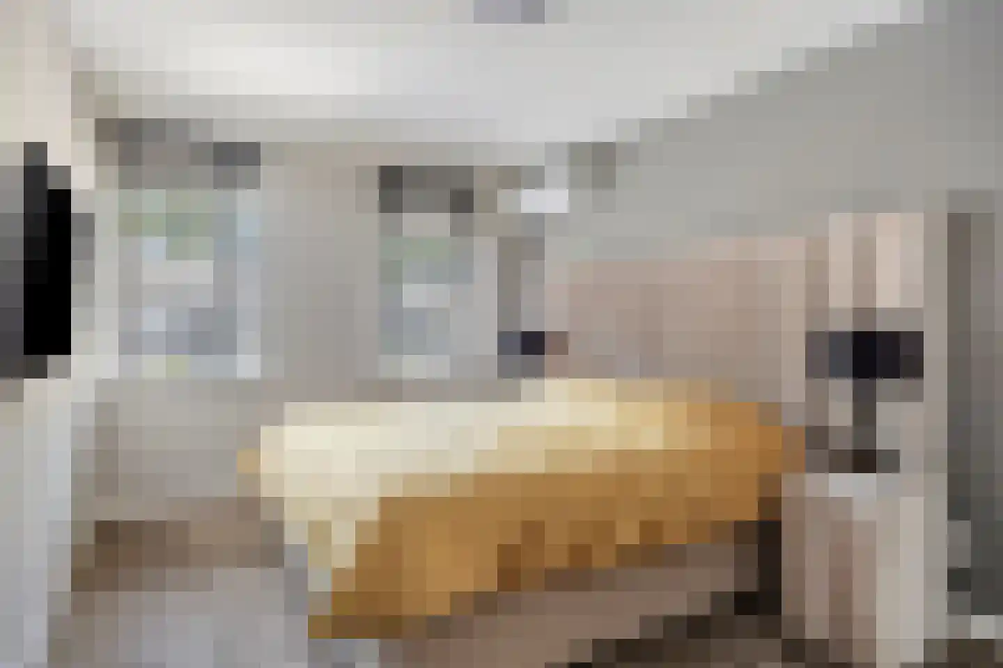Randwijkstraat 55 Tilburg thumbnail 22