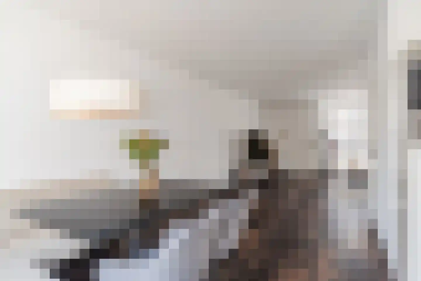 Randwijkstraat 6 Tilburg thumbnail 10