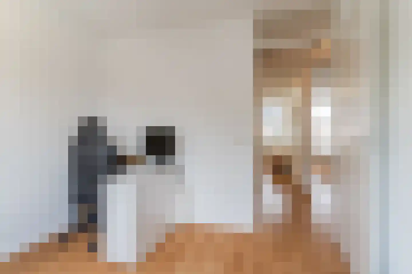 Randwijkstraat 6 Tilburg thumbnail 22