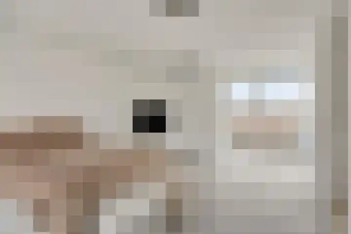 Randwijkstraat 6 Tilburg thumbnail 32