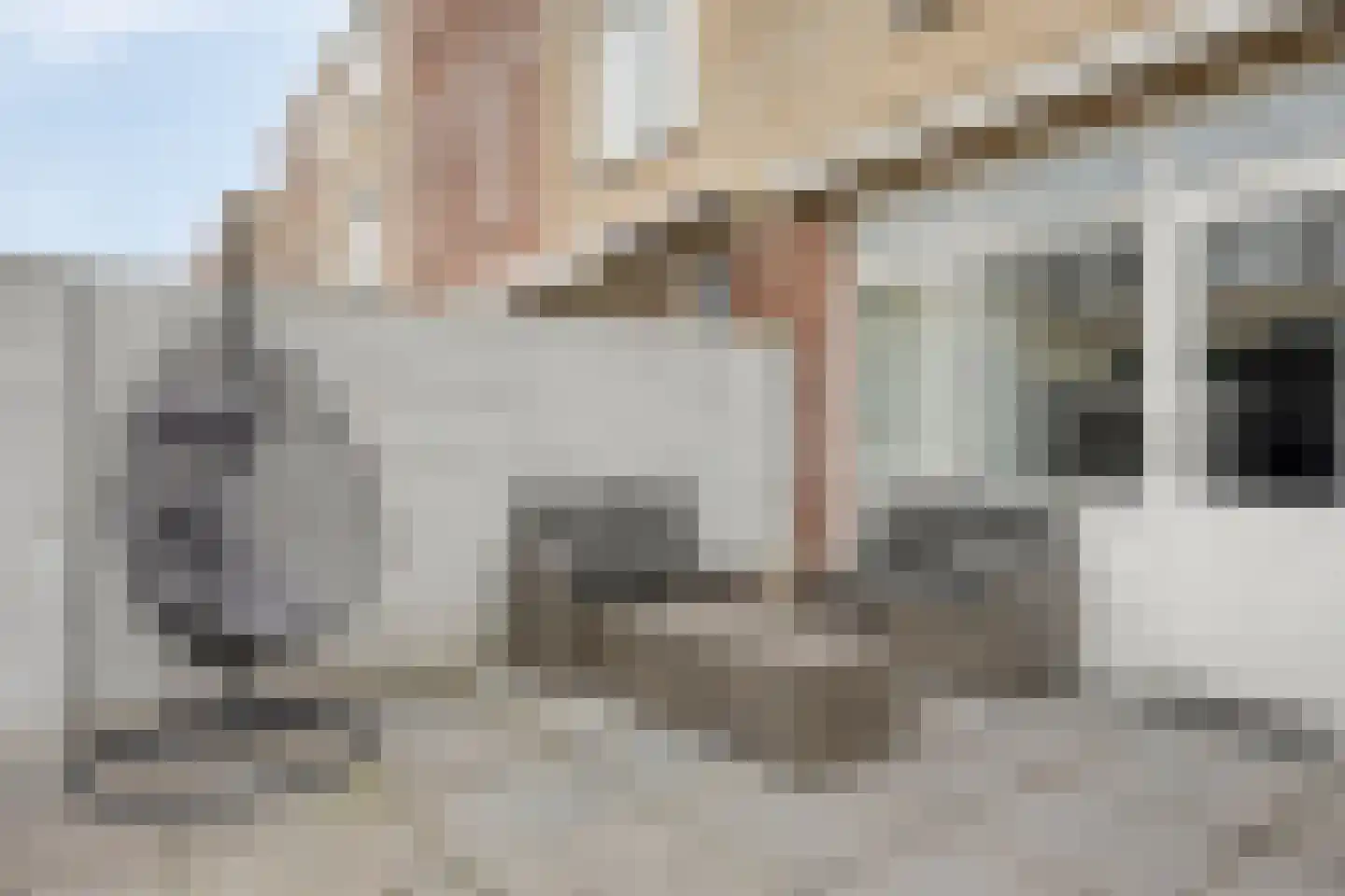 Randwijkstraat 6 Tilburg thumbnail 35