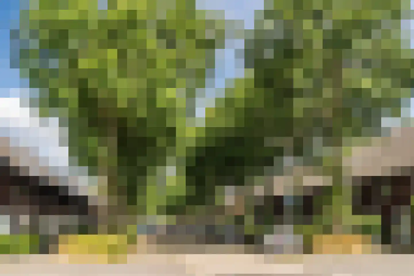 Randwijkstraat 6 Tilburg thumbnail 37