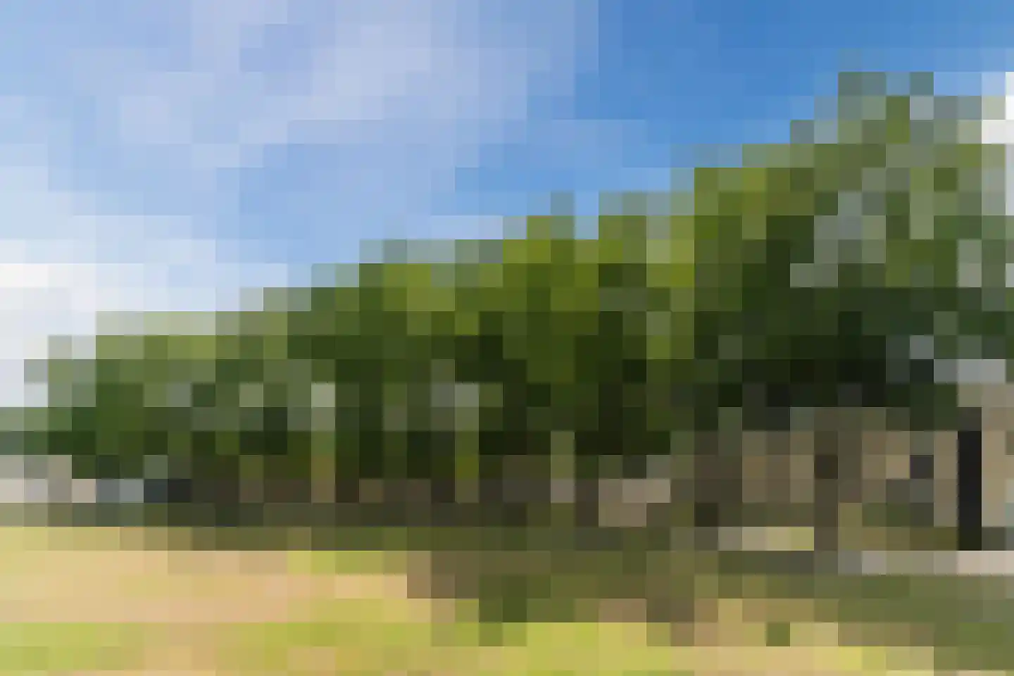 Randwijkstraat 6 Tilburg thumbnail 38