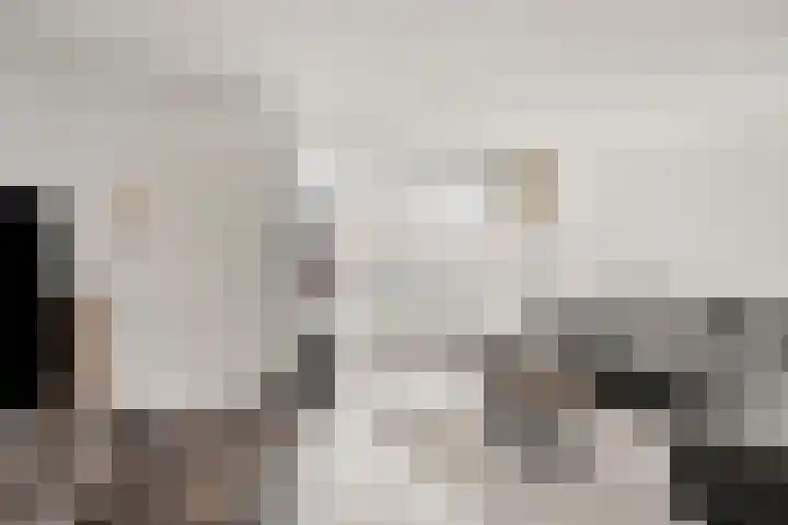Randwijkstraat 6 Tilburg thumbnail 7